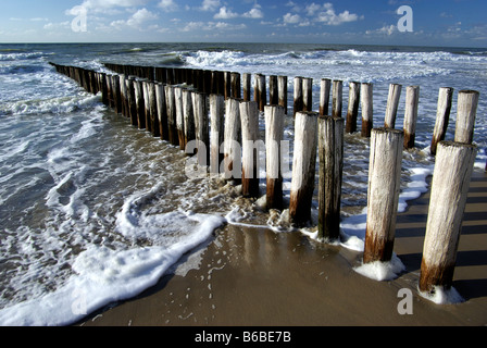 Les disjoncteurs par vague en bois Walcheren Domburg Zélande Hollande Pays-Bas Banque D'Images