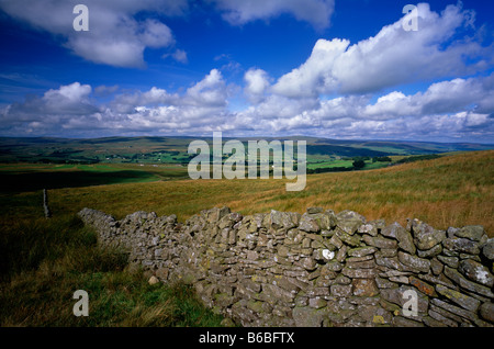 Alston Moor près de Alston, North Pennines, Cumbria Banque D'Images