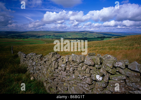 Alston Moor près de Alston, North Pennines, Northumberland Banque D'Images