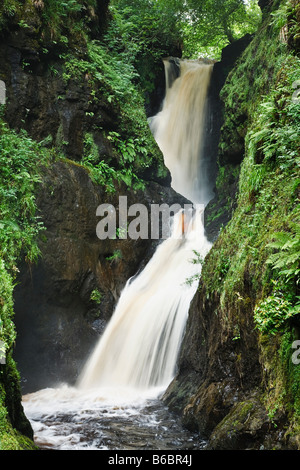 Ess-na-Larach, Cascade, rivière Glenariff Glenariff Forest Park, Les Glens d'Antrim, comté d'Antrim, en Irlande du Nord Banque D'Images