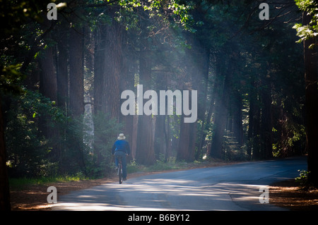 Un homme monté sur vélo dans la lumière du matin Banque D'Images