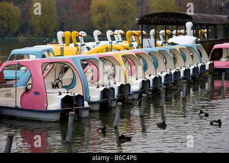 Location de barques sur l'Étang Shinobazu dans le parc Ueno, Tokyo, Japon Banque D'Images