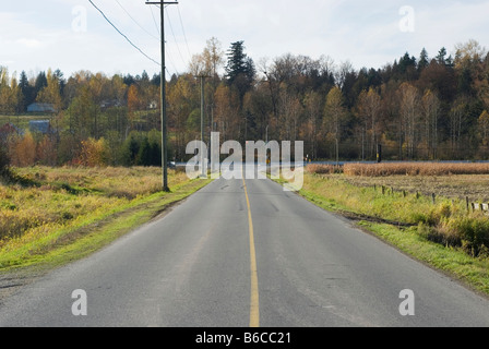 Chemin rural se terminant au feu rouge dans la distance Banque D'Images