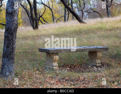 Image d'un banc vide à côté d'un arbre Banque D'Images
