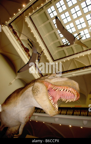 Dinosaure T Rex qui se profile avec les ptérodactyles volant au-dessus, dans le hall du Musée de la Nature à Ottawa, Ontario, Canada. Banque D'Images