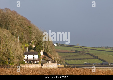 La Maison Bateau à Carmarthenshire Carmarthen vivaient autrefois dans par Dylan Thomas à travers les marais de l'estuaire du TAF Banque D'Images