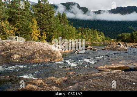 Rivière qui coule à travers la forêt, la Norvège Banque D'Images