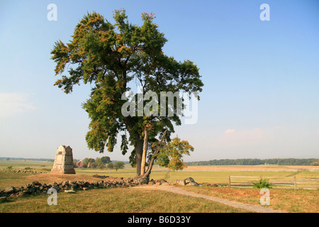 L'arbre illustré marque l'Angle qui se trouve sur la ligne des hautes eaux, cimetière Ridge, Gettysburg National Military Park. Banque D'Images