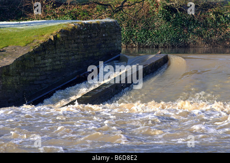 Poisson et passer des civelles combiné sur la rivière Avon, Stratford upon Avon, Warwickshire, England, UK Banque D'Images