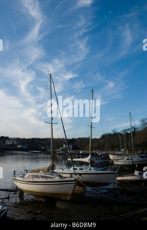 - Rivière Truro, Cornwall, Angleterre Malpas Banque D'Images