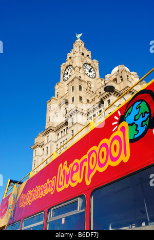 Red open top bus touristique en face de l'assurance Royal Liver Building situé à Pier Head à Liverpool Banque D'Images