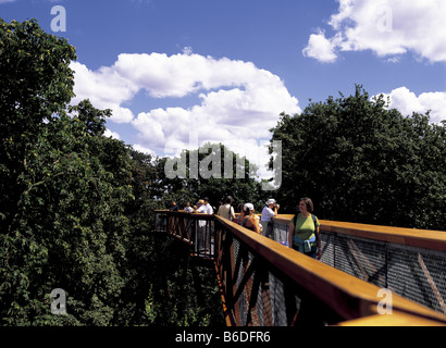 Rhizotron et Xstrata Treetop Walkway au Royal Botanical Gardens de Kew en Angleterre Surrey Banque D'Images