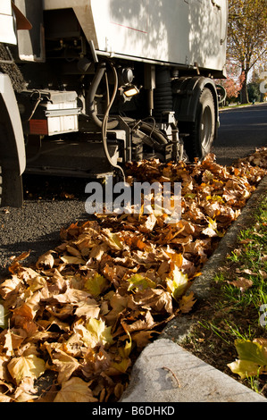 Balayeuse nettoyage des feuilles d'automne Banque D'Images