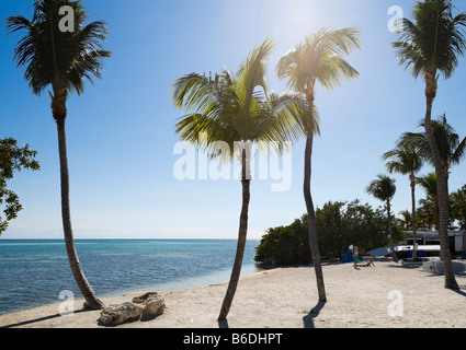 Plage de port des baleines, Upper Matecumbe Key, Islamorada, Florida Keys, USA Banque D'Images