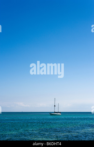 La location ou la baleine au large de Port, Upper Matecumbe Key, Islamorada, Florida Keys, USA Banque D'Images