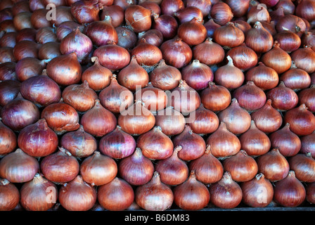 Les oignons à nouveau marché, Bhopal, Madhya Pradesh, Inde. Banque D'Images