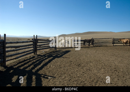 La Mongolie. La vie sur les steppes. Corral pour trek chevaux. 2007 Banque D'Images