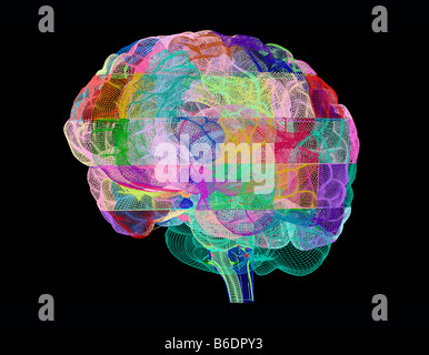 Cerveau humain, vue oblique, d'art de l'ordinateur. Banque D'Images