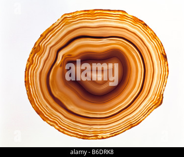 L'agate. Tranche de la minéral agate, une forme de dioxyde de silicium, quartz composé de calcédoine. Banque D'Images