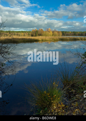 WOODGREEN LAKE DANS LE FORÊT DE DEAN GLOUCESTERSHIRE UK Banque D'Images