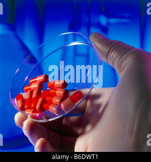 Les capsules de médicaments. Main gantée tenant une petridish rempli de capsules de drogue rouge. Banque D'Images