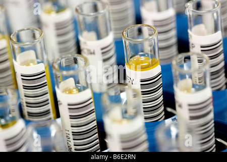 Des échantillons de sang. Tubes à essai des échantillons de cartes d'containingblood Banque D'Images