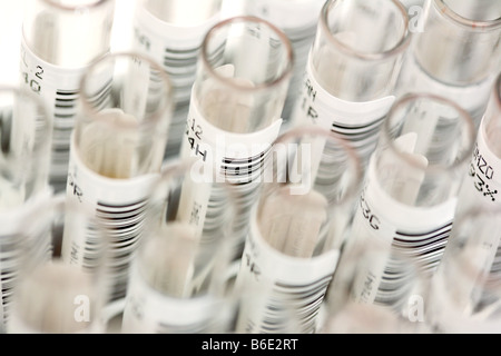 Des échantillons de sang. Tubes à essai des échantillons de cartes d'containingblood Banque D'Images