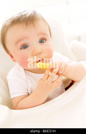 Baby Boy (6-11 months) using crisp Banque D'Images