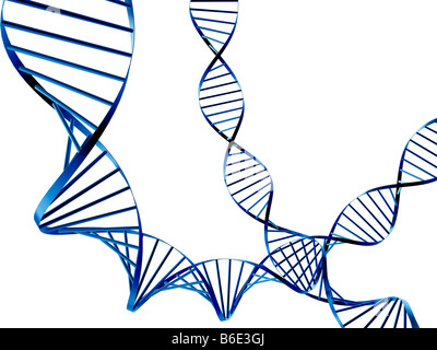 Les molécules d'ADN contre fond blanc Banque D'Images