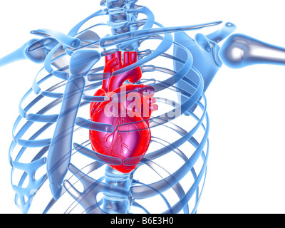 Robe Patineuse Gothique Squelette - Imprimé Crânes Et Cage Thoracique - Sans Manches, Longueur Cuisse - 95% Polyester