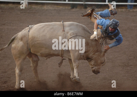 Bull riding casqué être projeté hors du taureau à un rodéo Banque D'Images