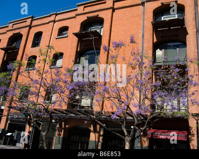 Bâtiment en briques rouges à Puerto Modero à Buenos Aires, Argentine Banque D'Images