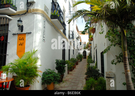 Rue de la vieille ville de Marbella, Costa del Sol, Andalousie, Espagne Banque D'Images