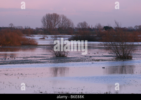 Ouse se lave à la tombée de la réserve RSPB, Cambridgeshire Banque D'Images