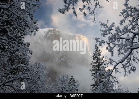 Californie - Lever du Soleil sur le Capitan après une tempête hivernale dans la vallée de Yosemite, Yosemite National Park. Banque D'Images