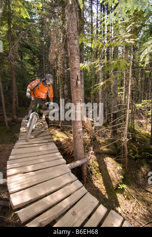 Bike Park de Whistler Banque D'Images