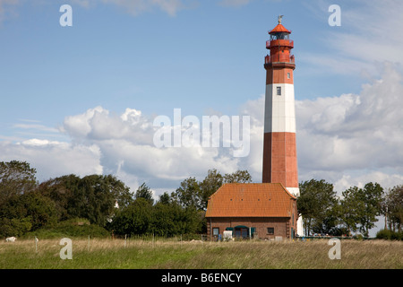 Phare dans la ville de Fluegge sur Fehmarn Island, Schleswig-Holstein, Allemagne, Europe Banque D'Images