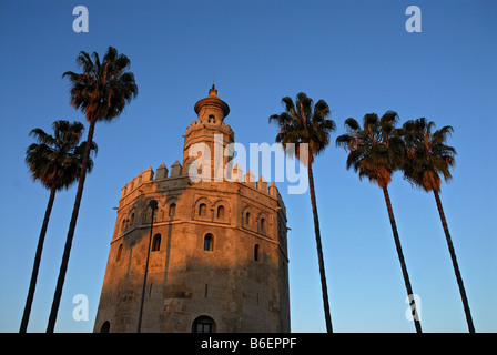 Torre del Oro et palmiers dans la lumière du matin doux, Andalousie, Espagne, Europe Banque D'Images