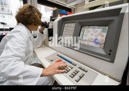 La différenciation semi-automatisé des frottis sanguins par un technicien de laboratoire dans le département d'hématologie Banque D'Images