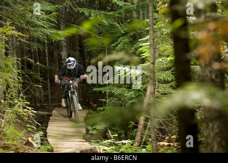 Bike Park de Whistler Banque D'Images