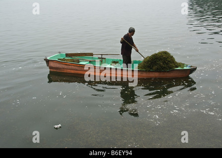 Collecteur de mauvaises herbes de mer dans le lac du Palais d'été Chine Beijing Banque D'Images