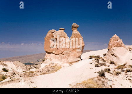 La roche de tuf camel en Vallée Devrent près de Zelve, Cappadoce, Anatolie centrale, Turquie, Asie Banque D'Images