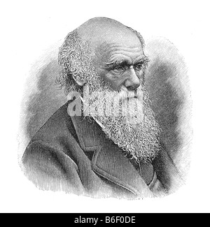 Charles Robert Darwin, 12. Février 1809, Shrewsbury, Angleterre - 19. Avril 1882 Downe Banque D'Images