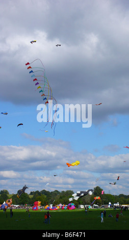 Cerfs-volants sur un kite festival, Allemagne Banque D'Images