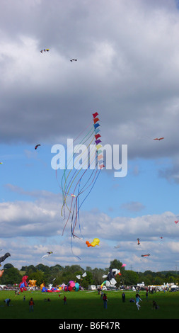 Cerfs-volants sur un kite festival, Allemagne Banque D'Images