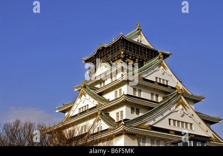 La tour principale de Château d'Osaka, à l'origine appelé Ozakajo, Japon, Osaka Banque D'Images