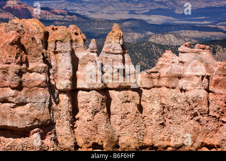 Bouleau noir Canyon, Bryce Canyon National Park, Utah Banque D'Images