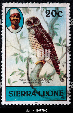 Bois d'Afrique (Owl Strix woodfordii), timbre-poste, la Sierra Leone, 1983 Banque D'Images