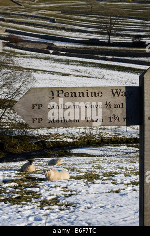 Pennine Way signpost malham cove winter snow parc national des Yorkshire Dales england uk go Banque D'Images