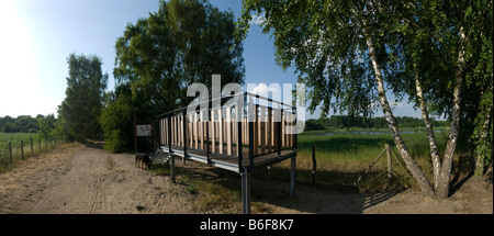 Photo grand angle de la plate-forme d'observation des oiseaux dans la réserve naturelle de Karower Teiche, Berlin, Germany, Europe Banque D'Images